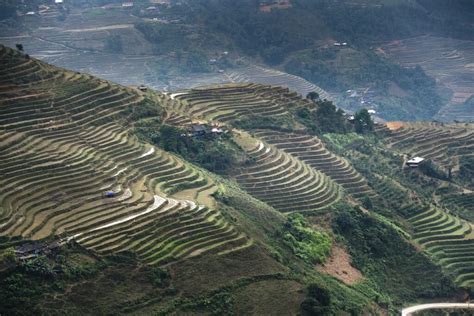  Of Rice And Men: A Journey Through Thailand's Rural Economy - Exploring Life's Complexities through a Grain of Truth