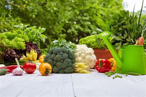 Vegetable Gardening for Beginners: A Practical Guide -  Unearthing the Secrets of Italian Horticulture and Cultivating Culinary Delights